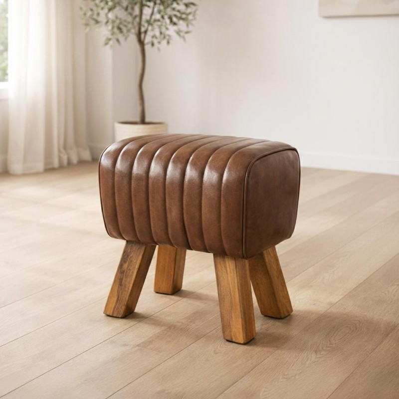 Leder Pauschenpferd - You