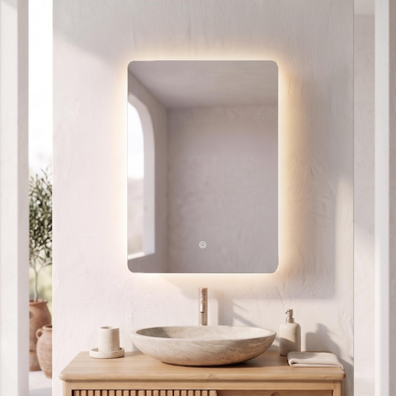 Badezimmerspiegelschrank mit rechteckigem Spiegel und LED-Beleuchtung 60 x 80 cm