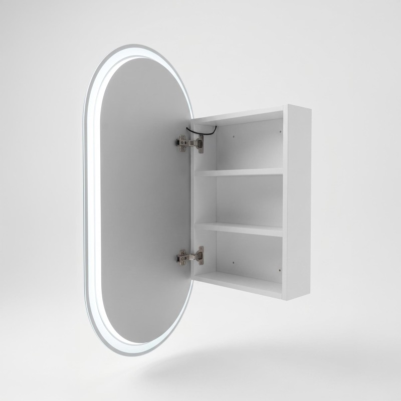 Badezimmerspiegelschrank mit ovalem Spiegel und LED-Beleuchtung 50 x 90 cm